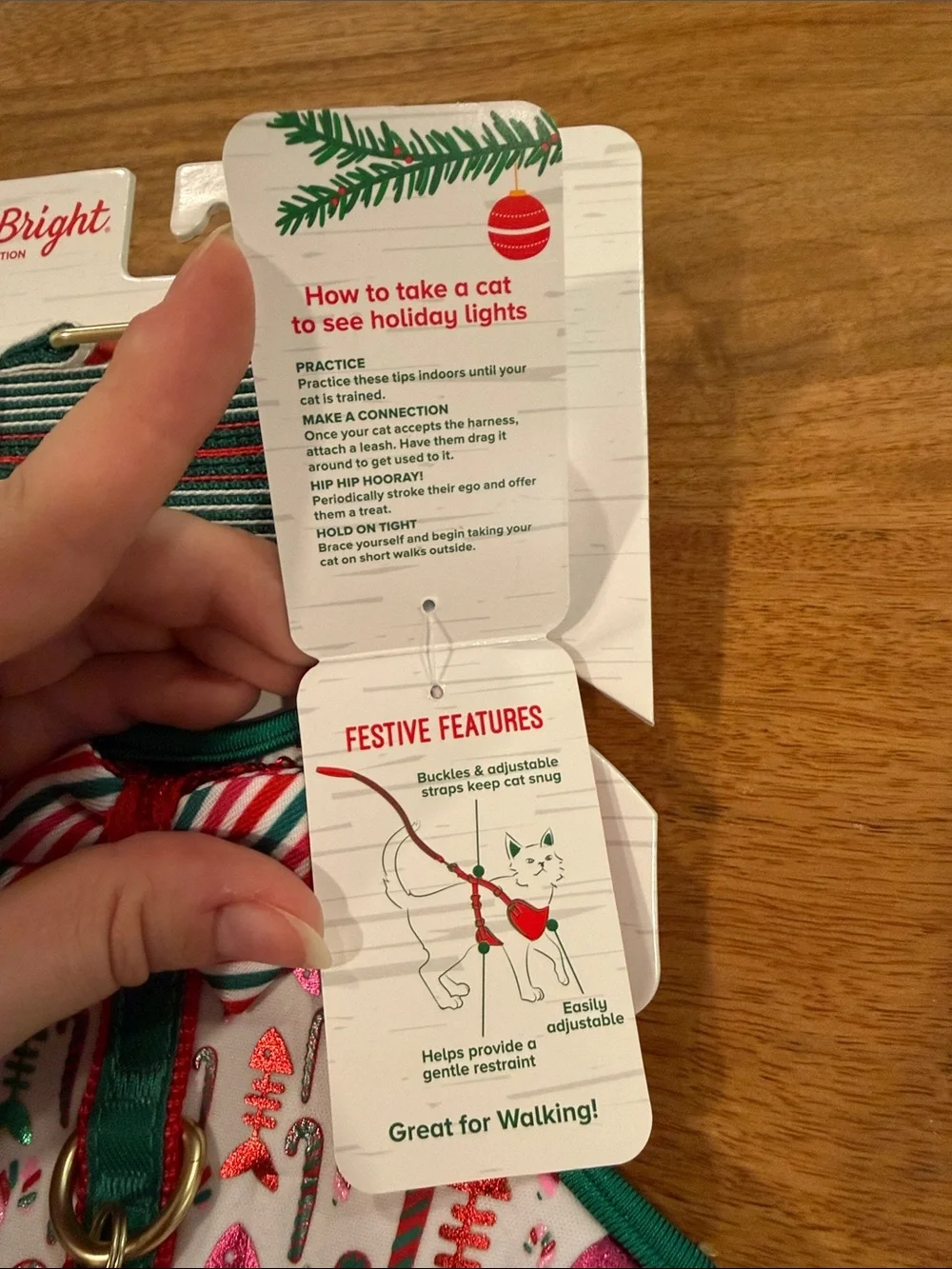 Holiday cat comfort harness & leash